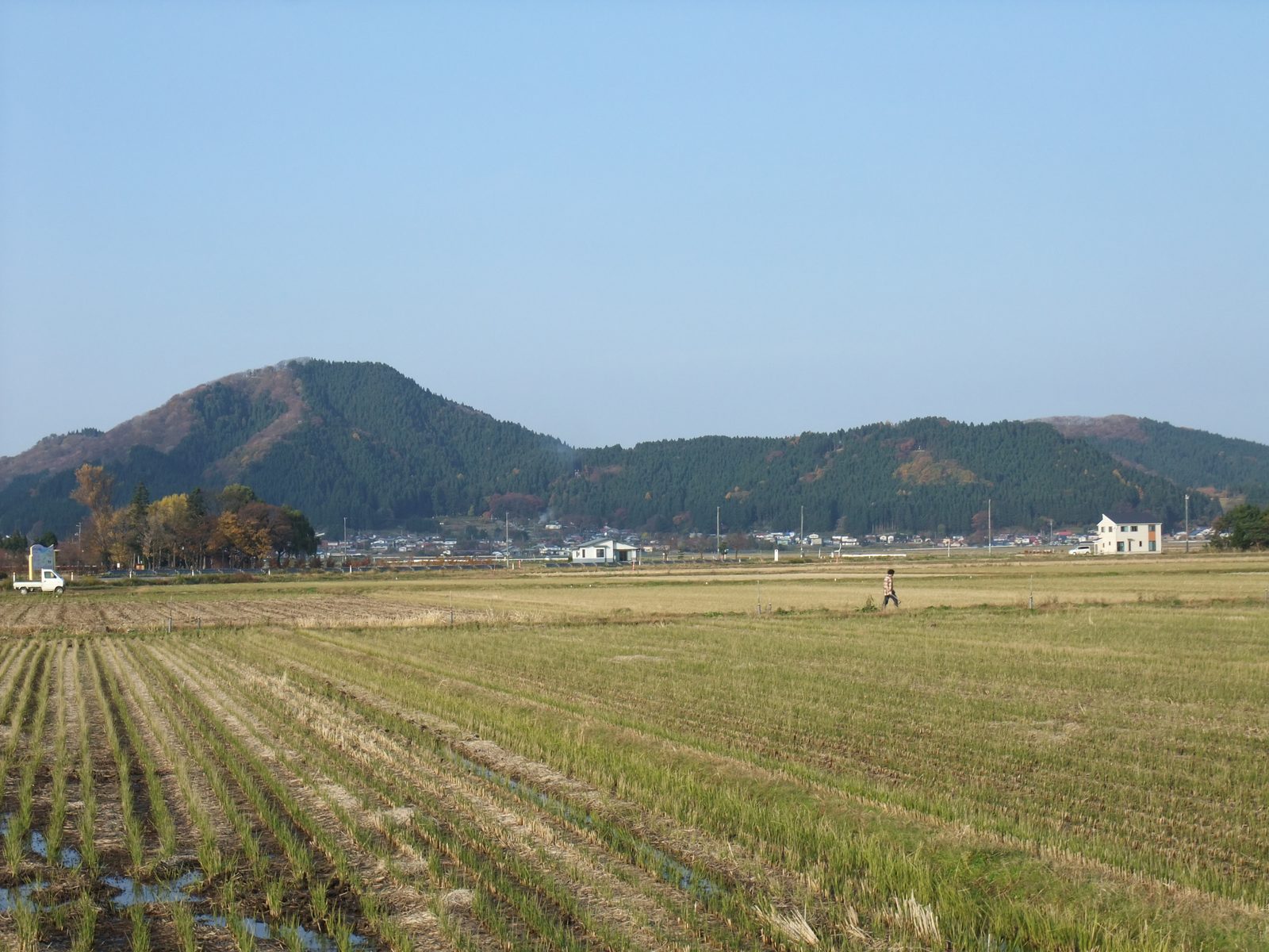 副川神社と同じ浦大町にある浦城跡の丘陵