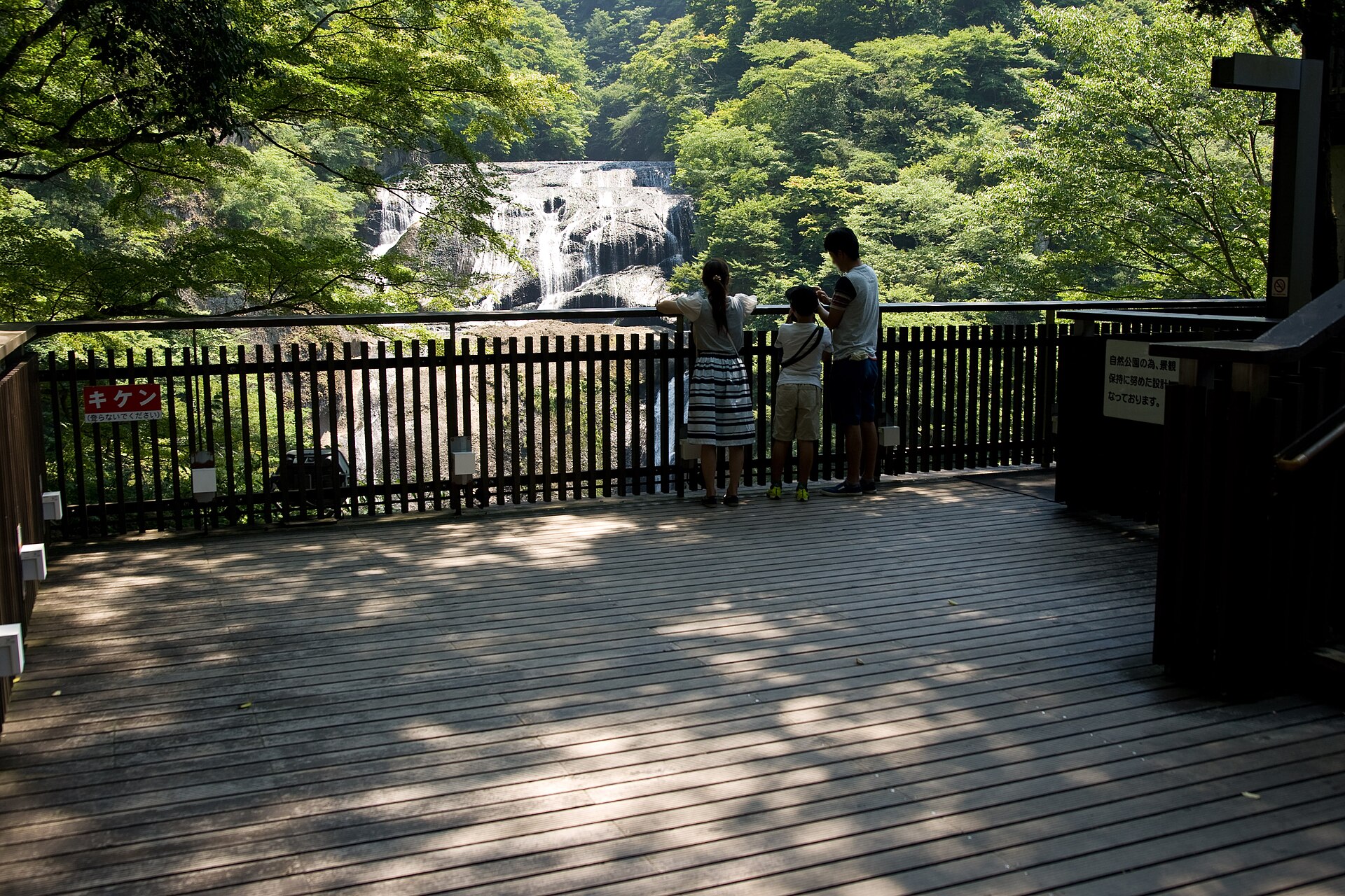袋田の滝の岩肌を流れる水