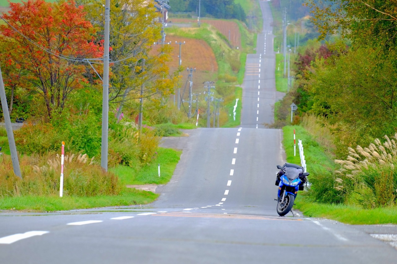 紅葉の季節のジェットコースターの路、アップダウンの起伏がわかる構図