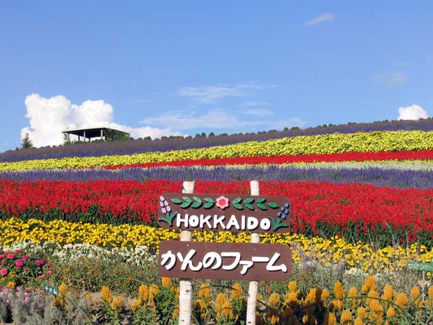 かんのファームの入口に立つ看板と花畑