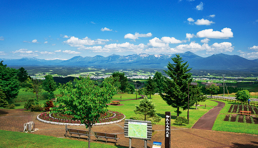 千望峠から望む十勝岳連峰と富良野盆地、手前の花壇