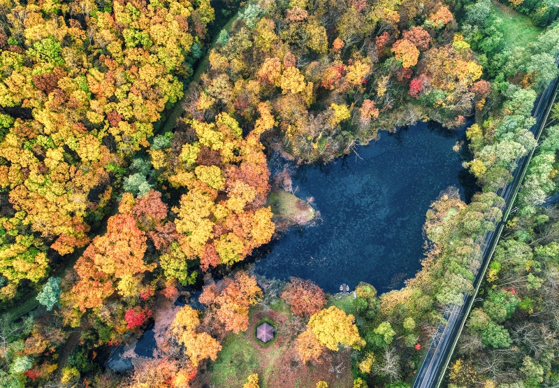 紅葉に包まれた鳥沼公園の沼を上空から見た様子