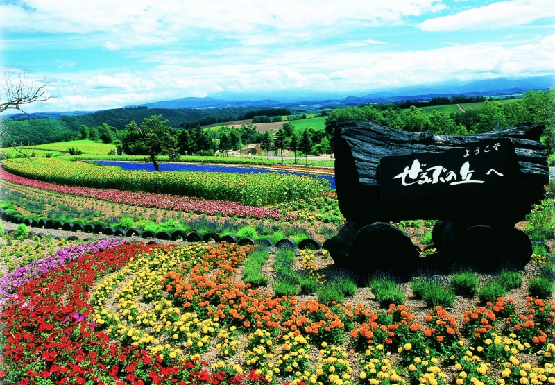 ぜるぶの丘の花畑と丘陵風景