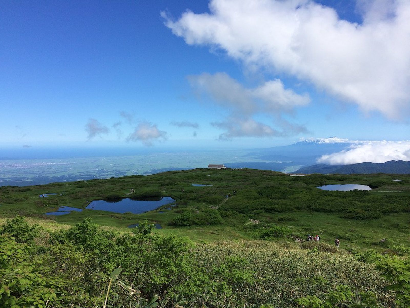 月山八合目、弥陀ヶ原湿原の池塘群