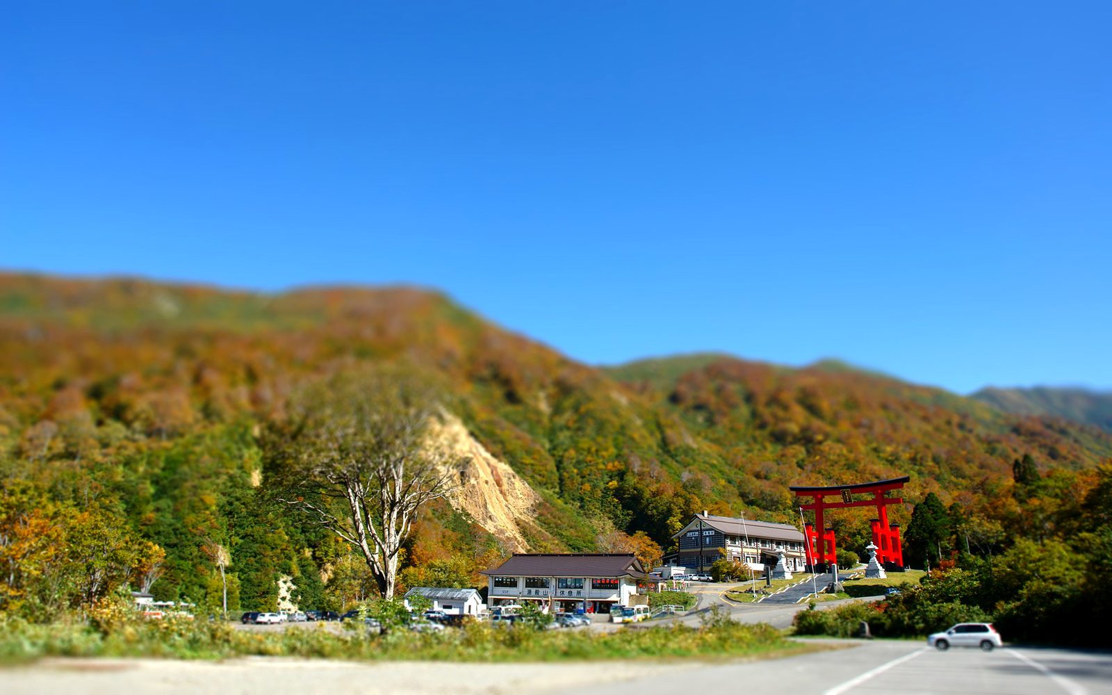 湯殿山神社本宮の大鳥居