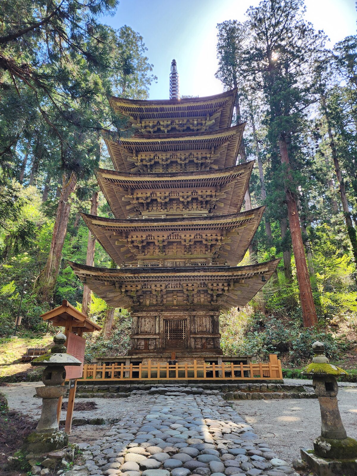 杉木立にそびえる羽黒山五重塔