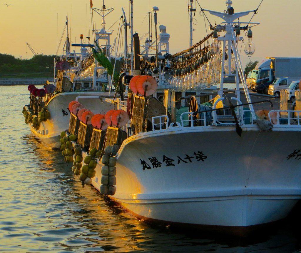 函館の沖に灯るいか釣り漁船の漁火