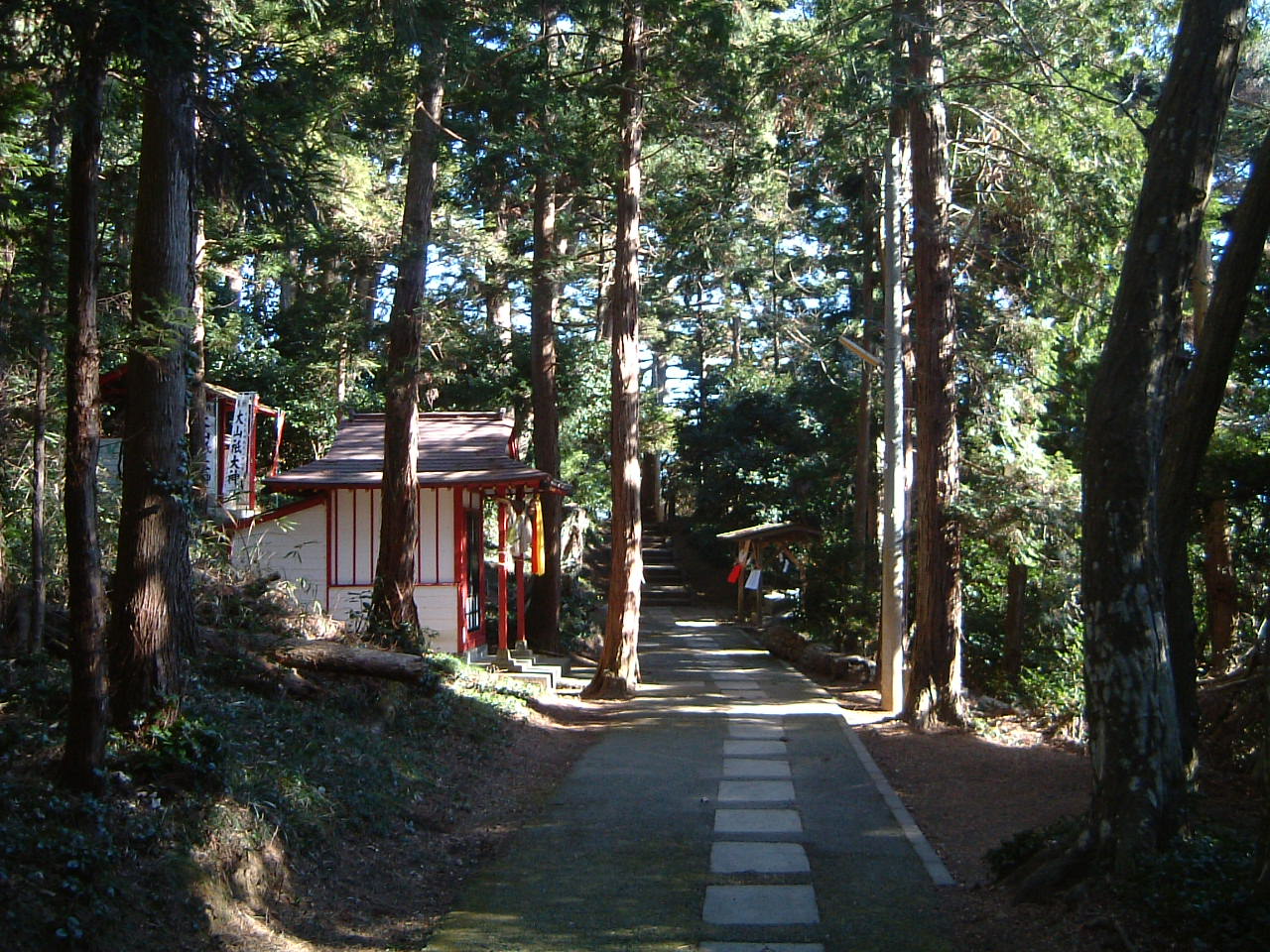 鼻節神社の杉木立に囲まれた参道