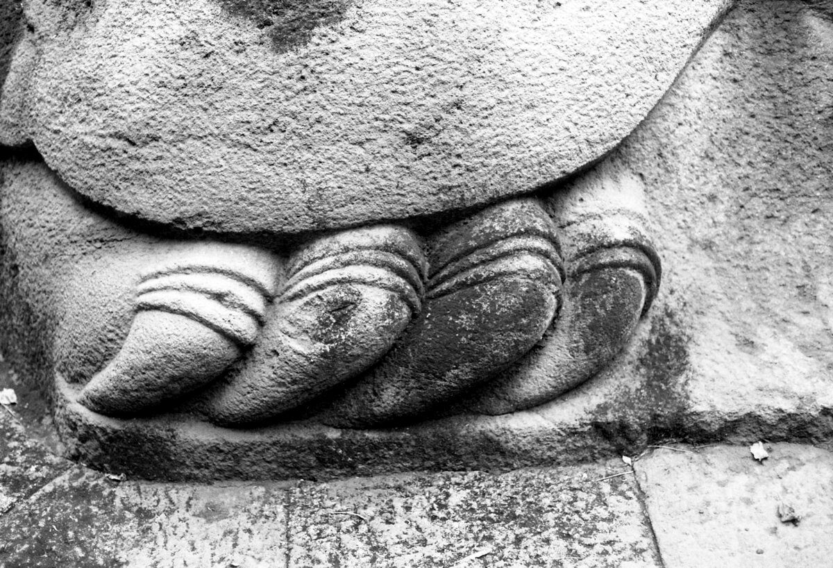 土津神社の亀石の爪の彫刻の近影