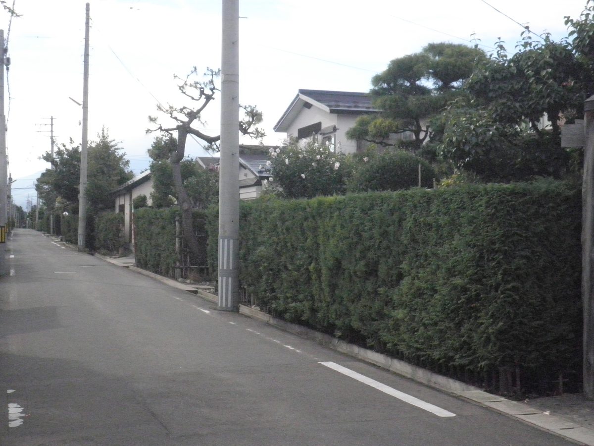 仲町伝統的建造物群保存地区のサワラ生垣が続く通り