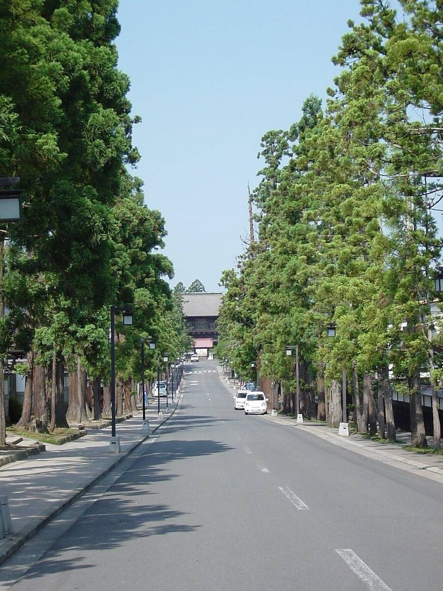 禅林街の杉並木と長勝寺
