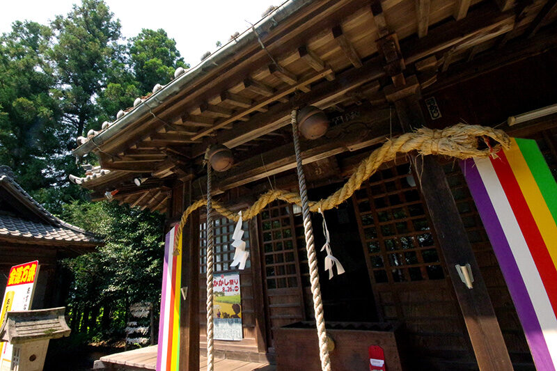 鳥居に掛けられたへび注連縄のクローズアップ