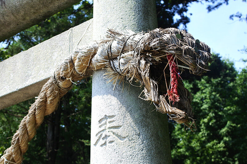 緑に囲まれた下野星宮神社の参道の鳥居
