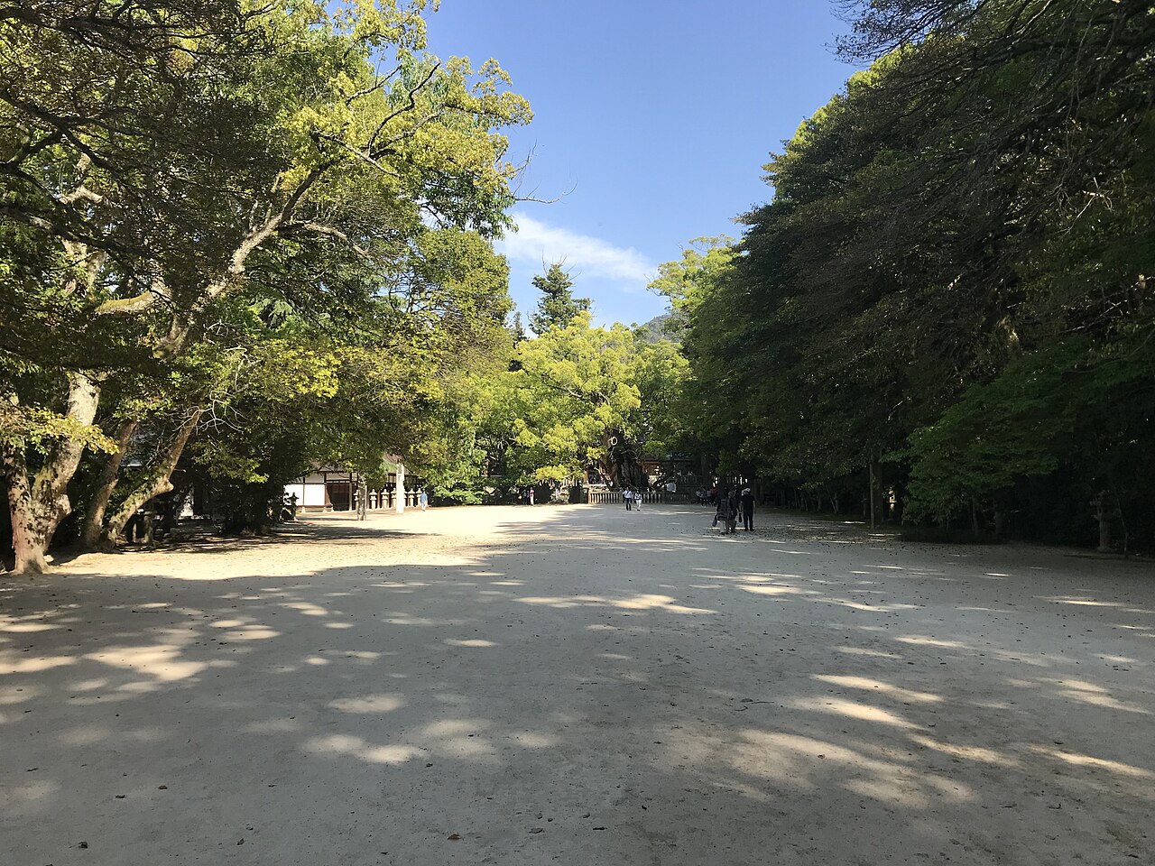 大山祇神社の参道と木々