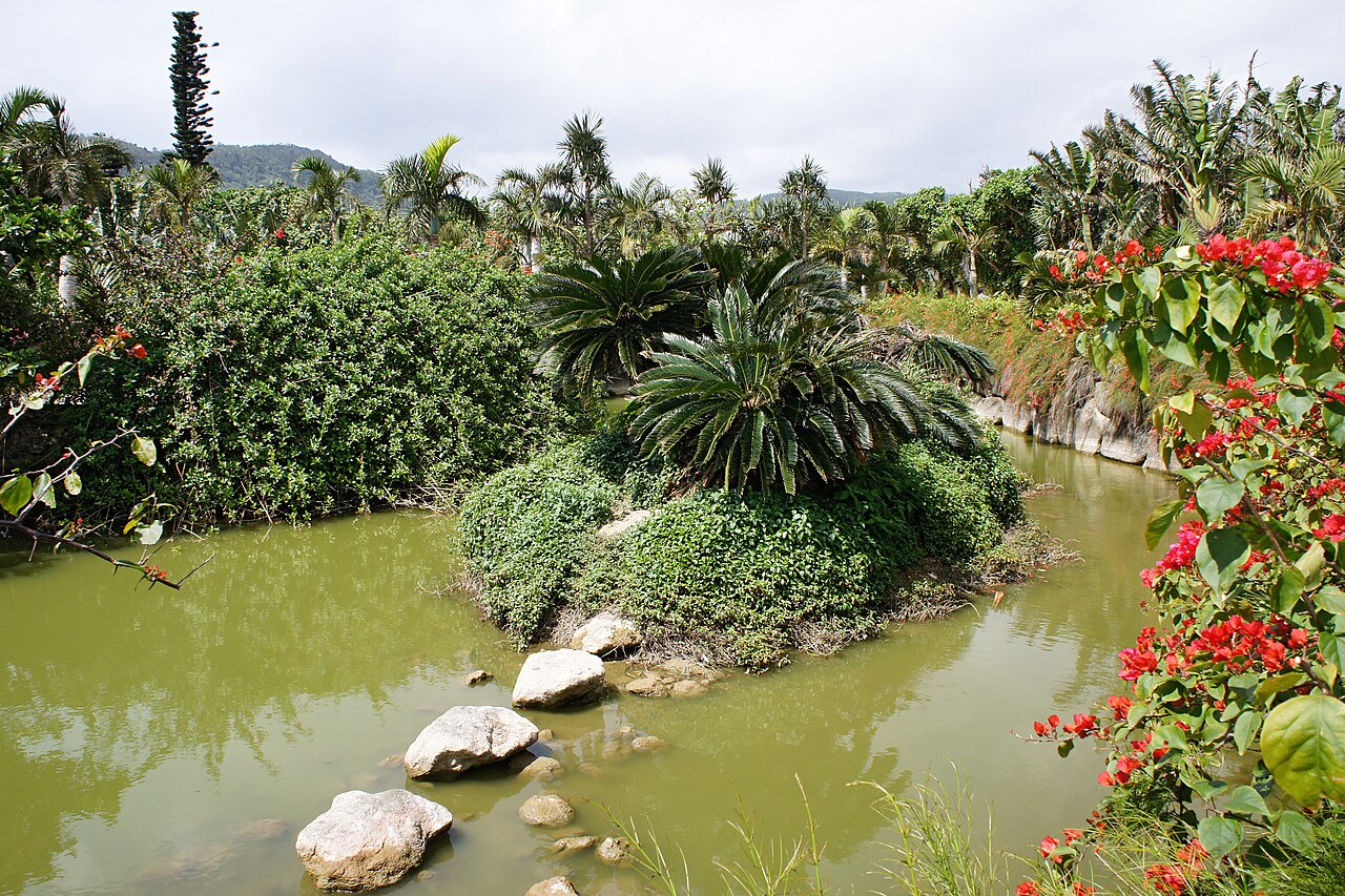 由布島の亜熱帯植物園に広がる池と植物