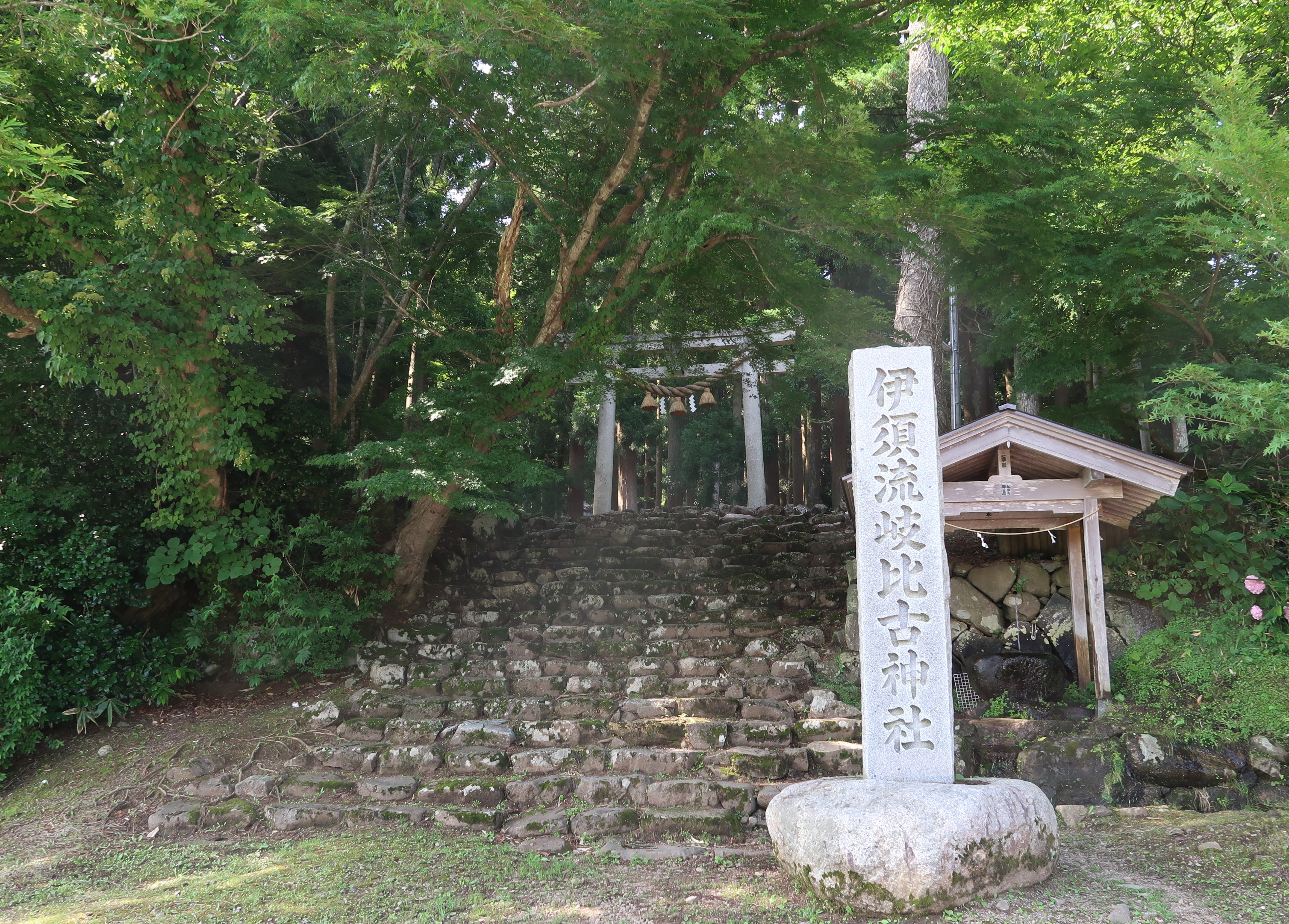 伊須流岐比古神社の鳥居と参道