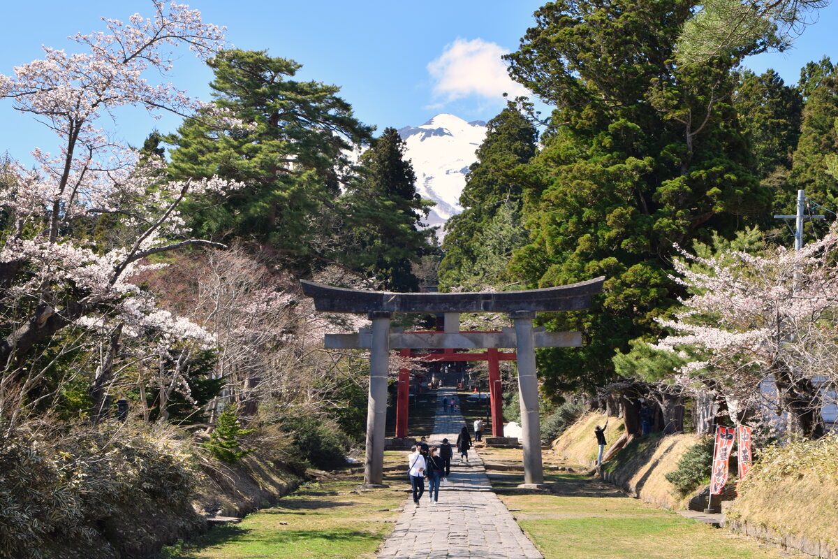 春の岩木山