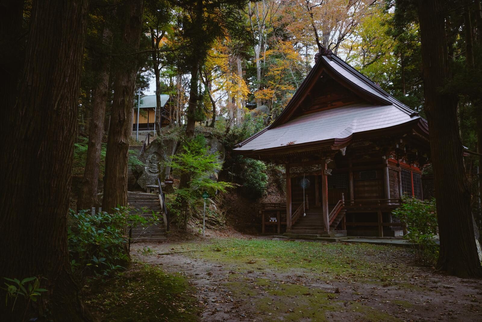 岩角山岩角寺の那智観音堂と巨木に囲まれた境内