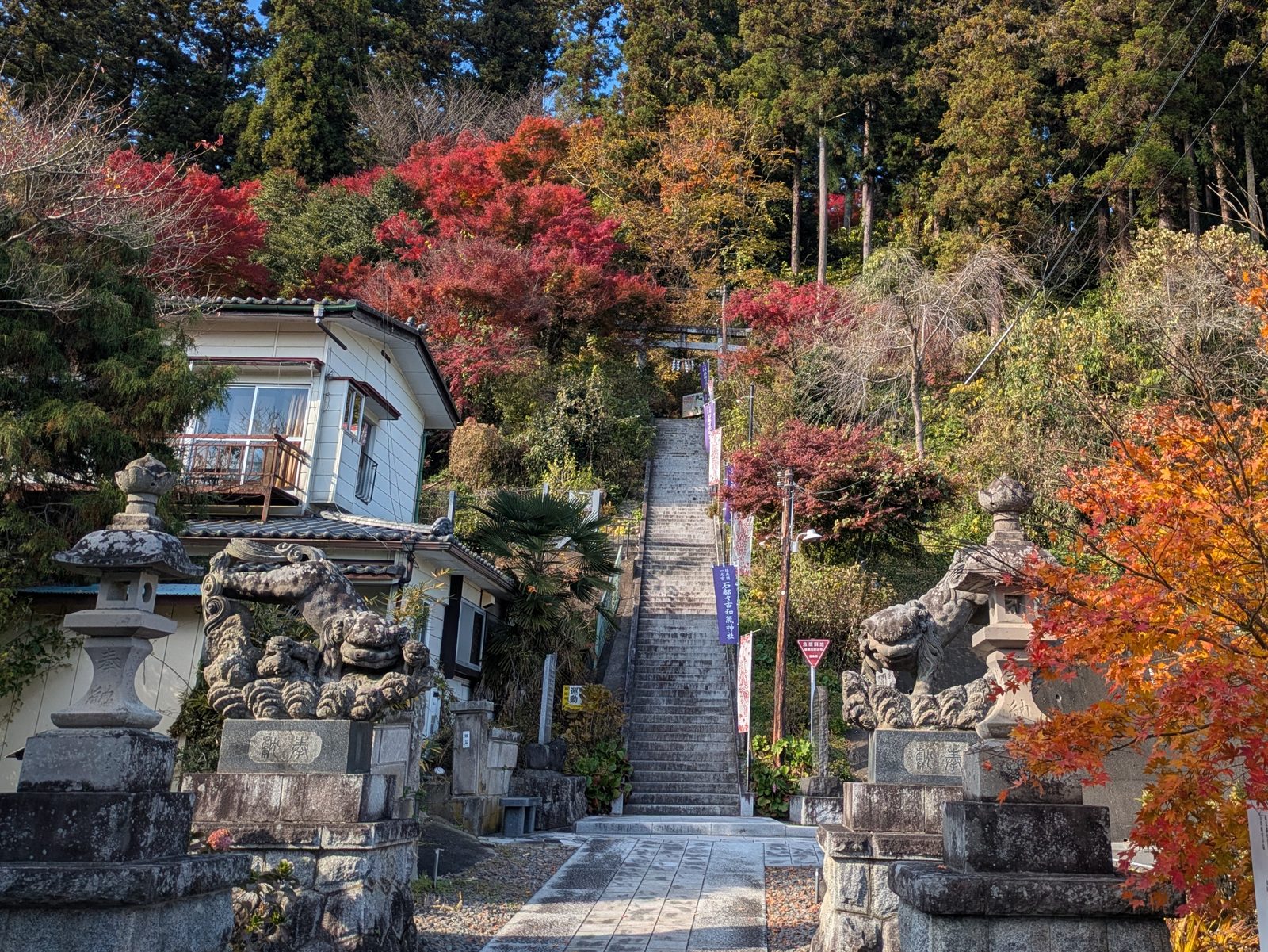 石都々古和気神社の石段参道、両脇の狛犬と紅葉