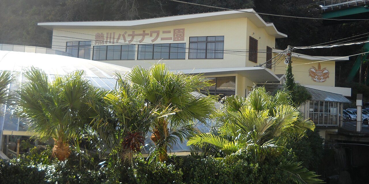 熱川バナナワニ園の温室とワニの展示エリア