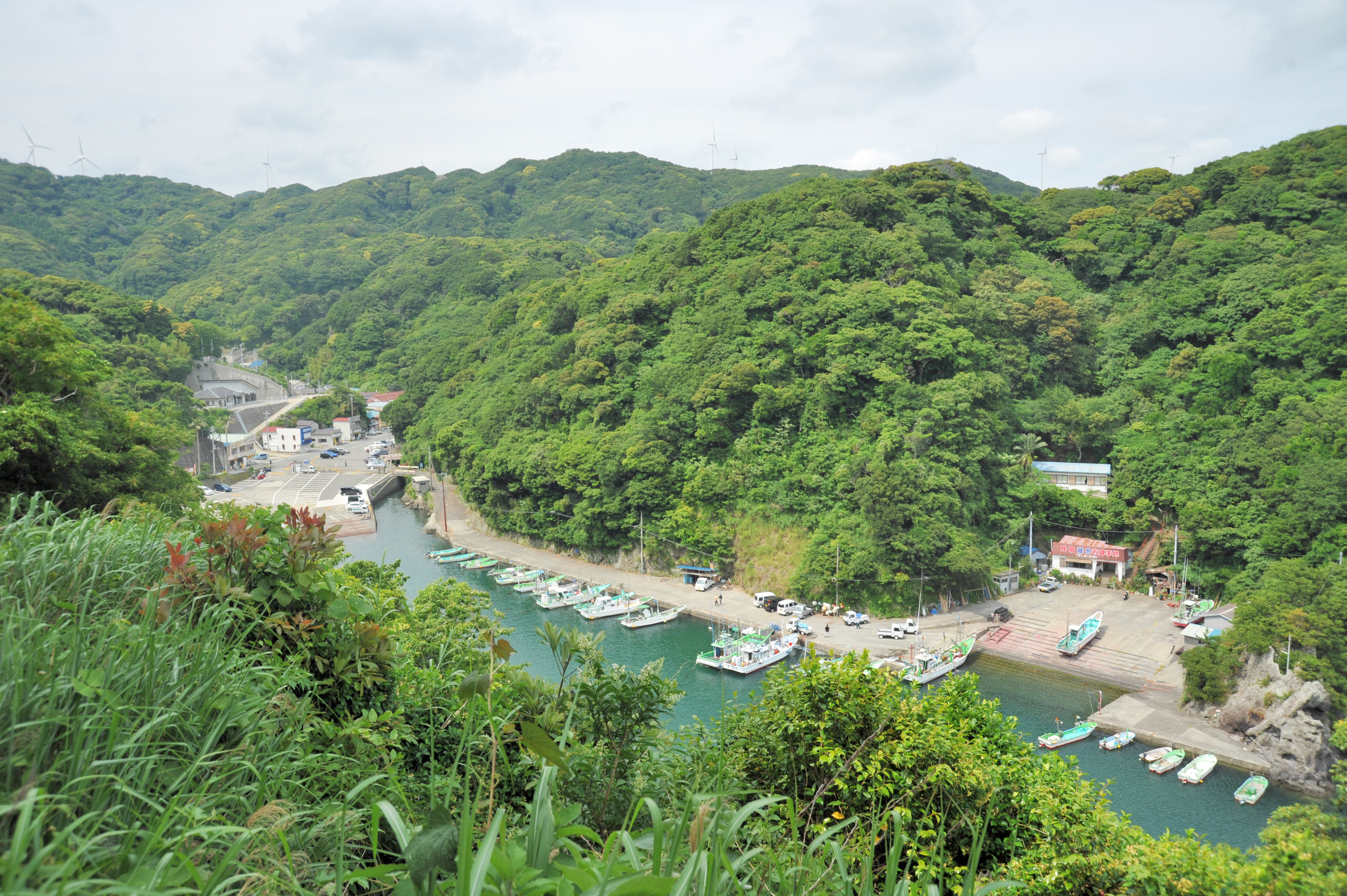 石廊崎漁港から出る遊覧船