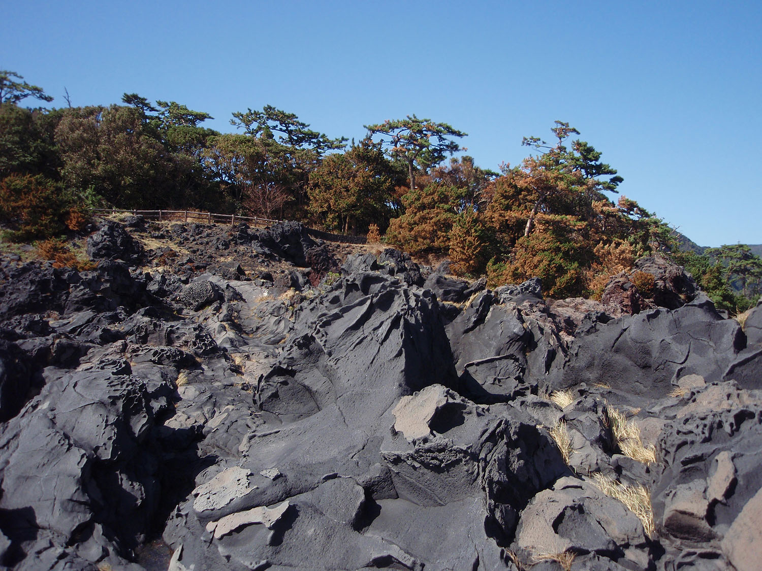 大室山の噴火でできた城ヶ崎海岸の黒い岩場