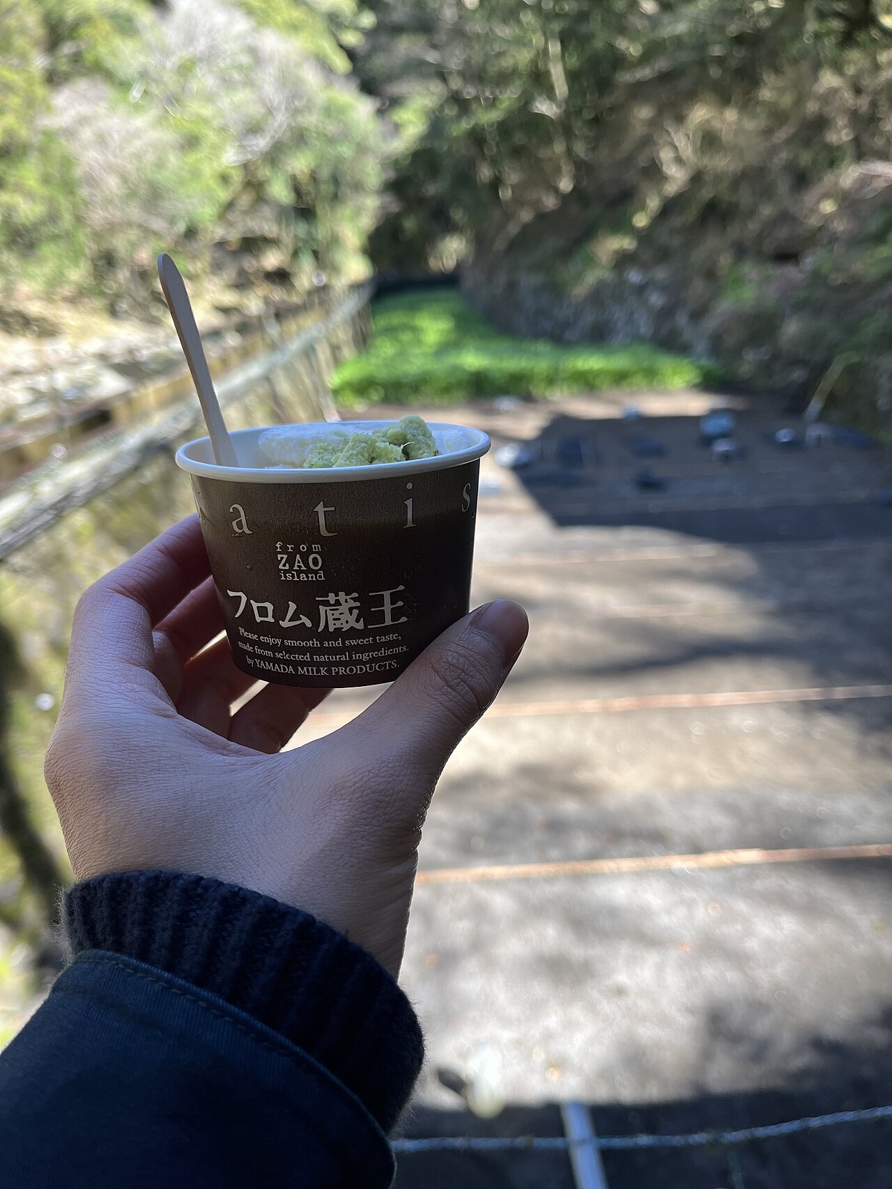 浄蓮の滝観光センターの名物わさびソフト