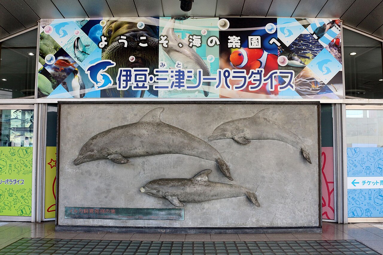 三津シーパラダイスのアシカ・トドのショー