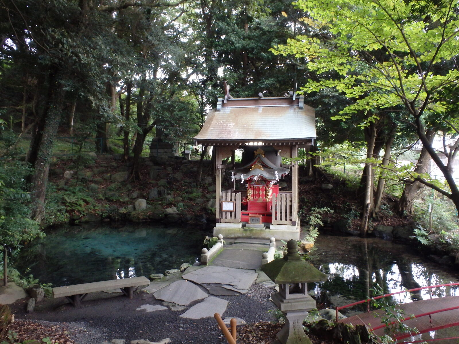 泉が森のエメラルド色に輝く湧水と小さな祠