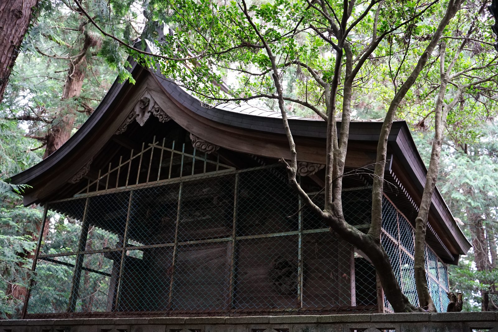 出雲伊波比神社の本殿