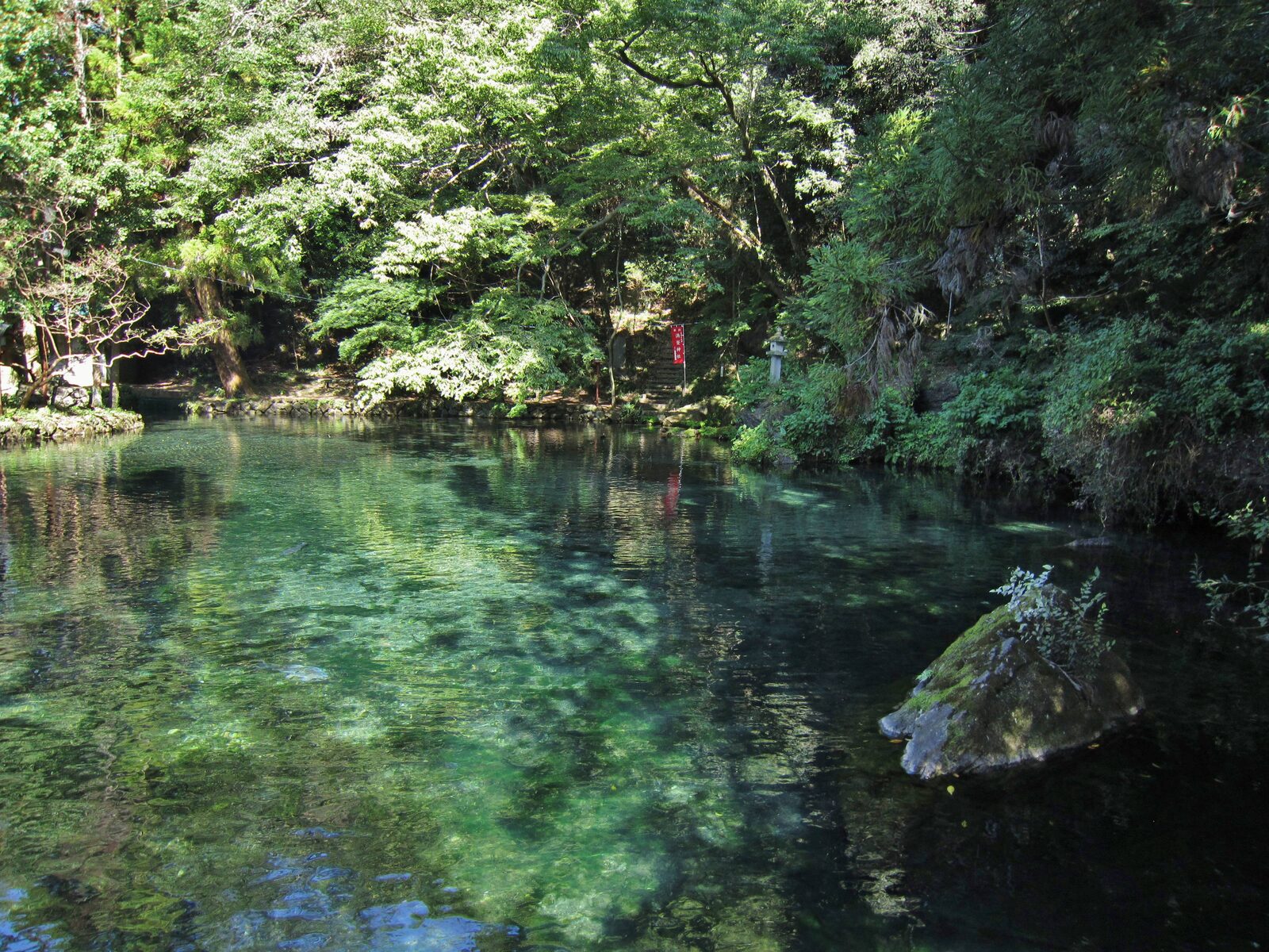 出流原弁天池の透明度の高い湧水と赤い旗