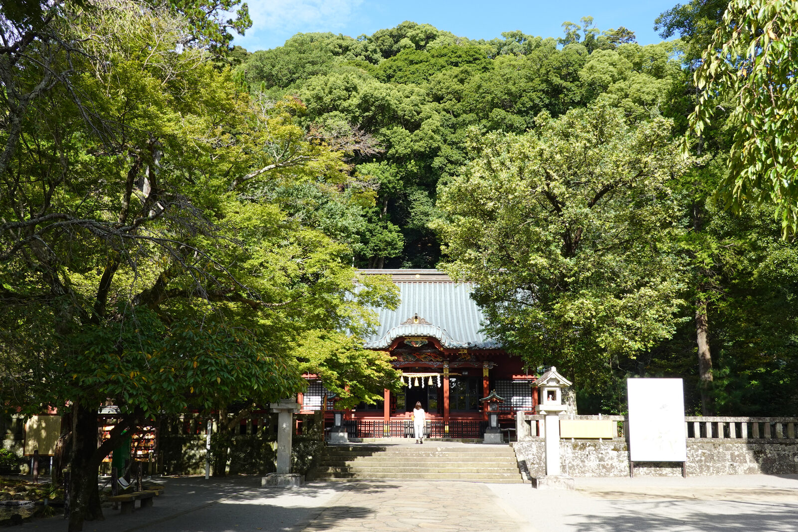 緑に包まれた伊豆山神社の本殿と参道