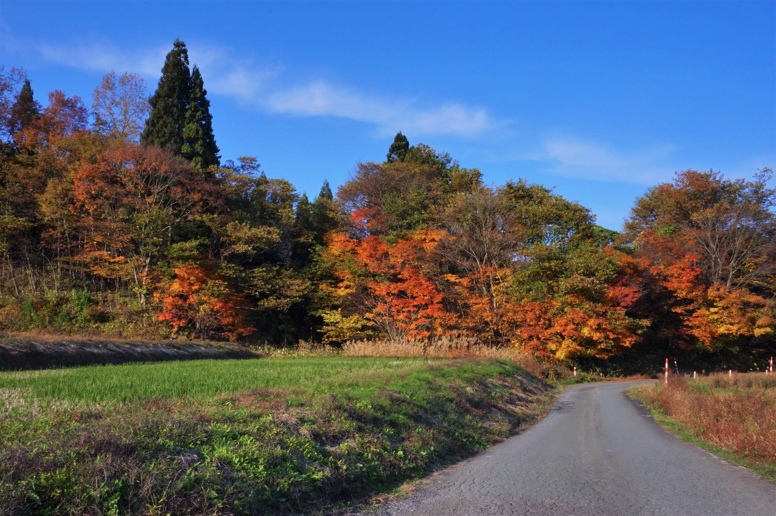 五城目町馬場目地区の里山風景