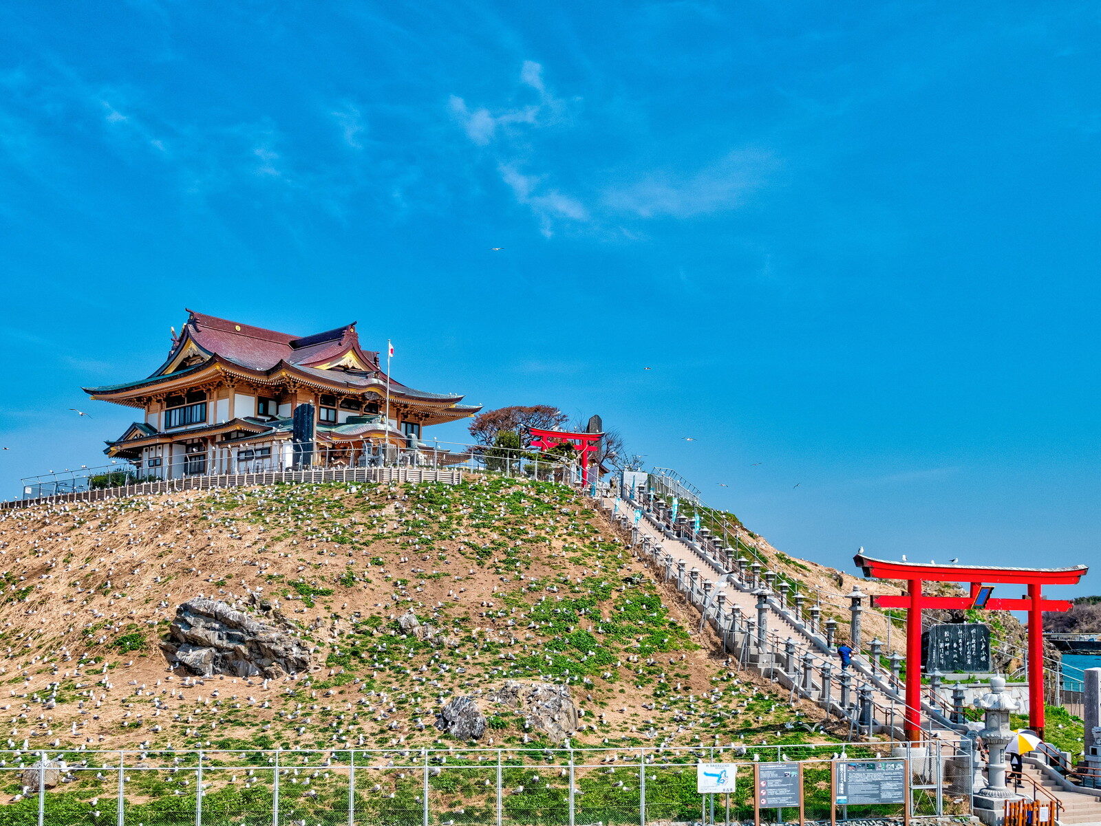 蕪嶋神社の新社殿、屋根がウミネコの羽ばたく姿を表現