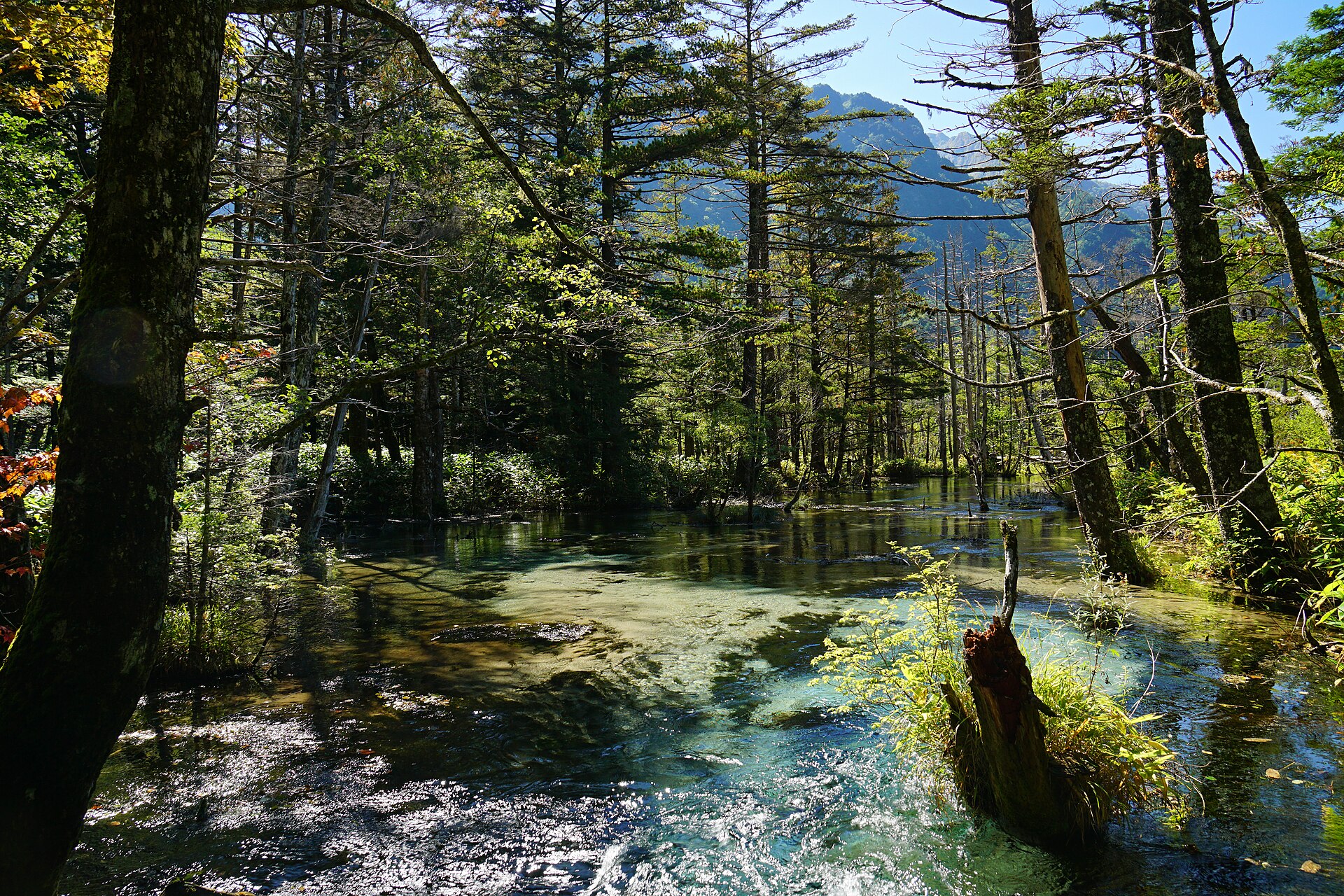 上高地・岳沢湿原の木道と静かな水面