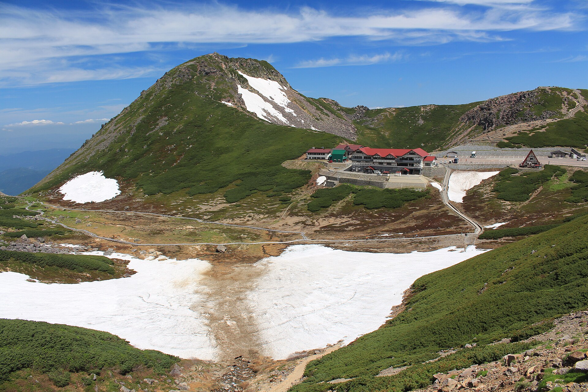 乗鞍畳平のお花畑に咲く高山植物