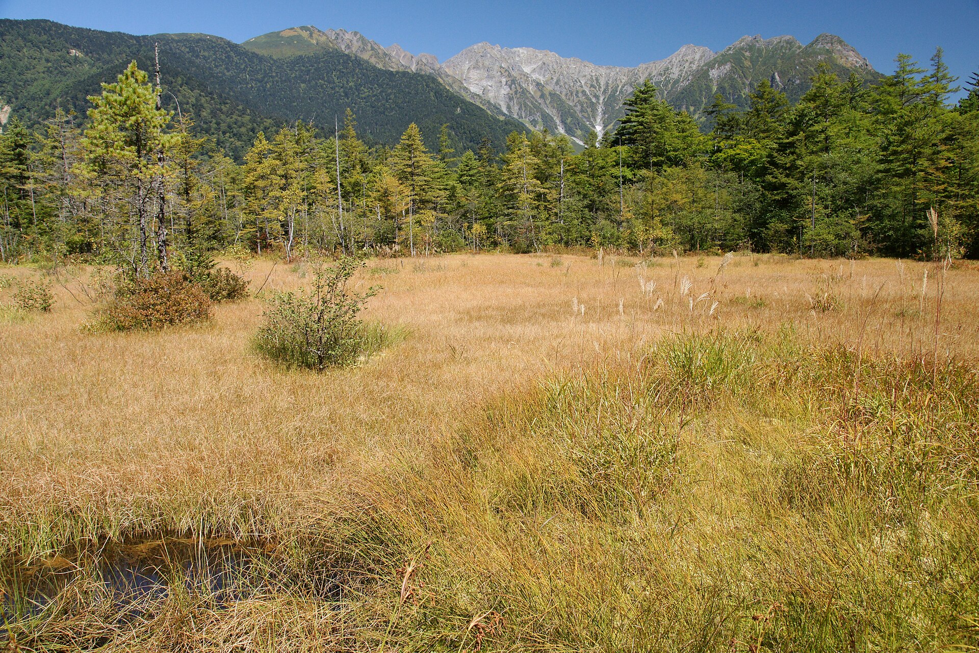 秋の田代湿原の草紅葉と穂高連峰
