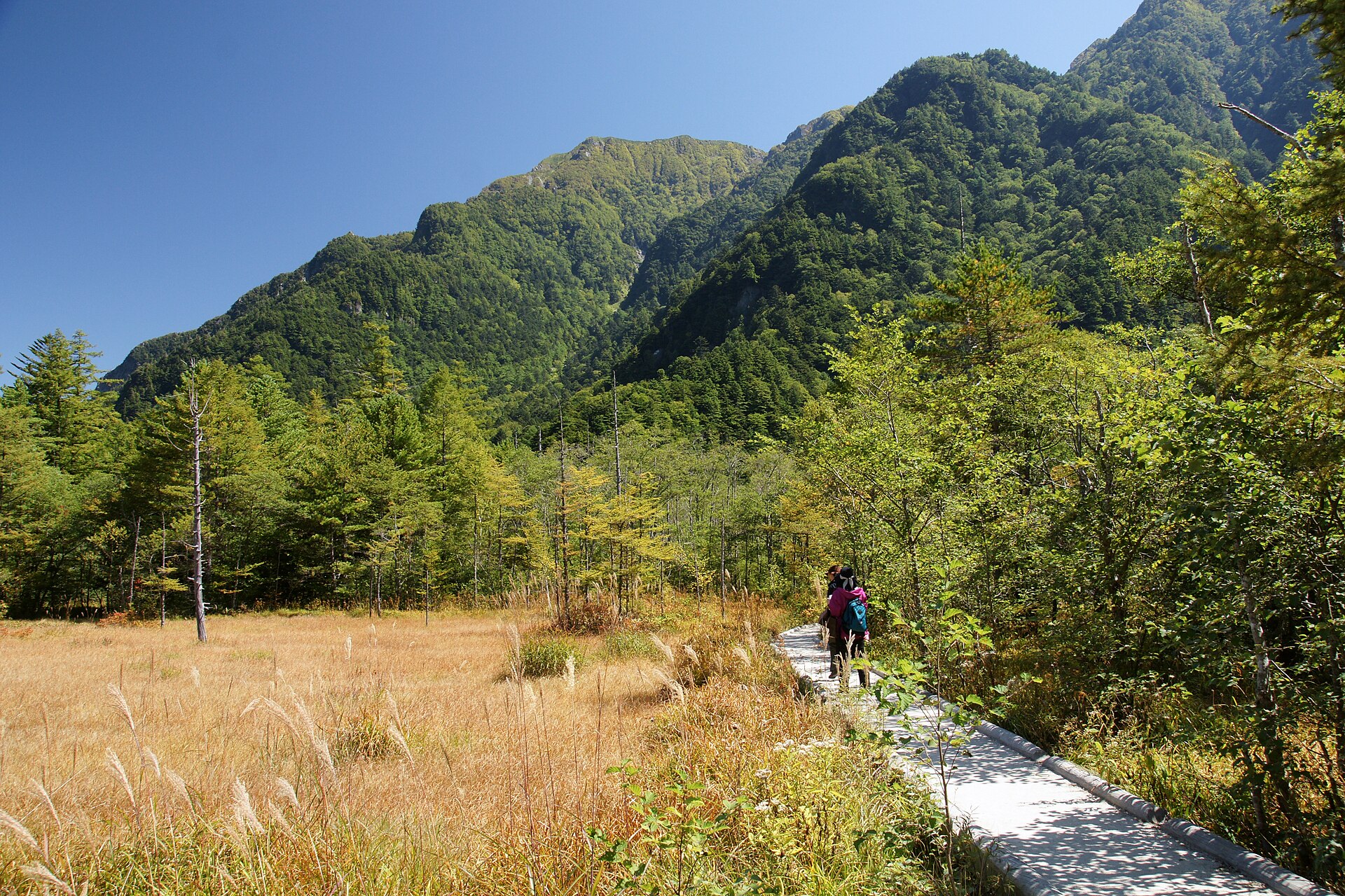 田代湿原の木道を歩く人の後ろ姿と山並み