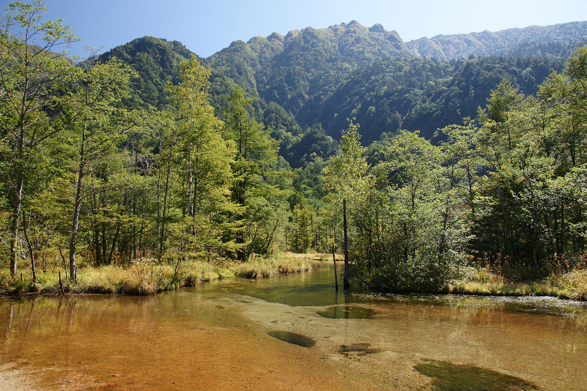 田代池の浅い水面と周囲にひろがる田代湿原
