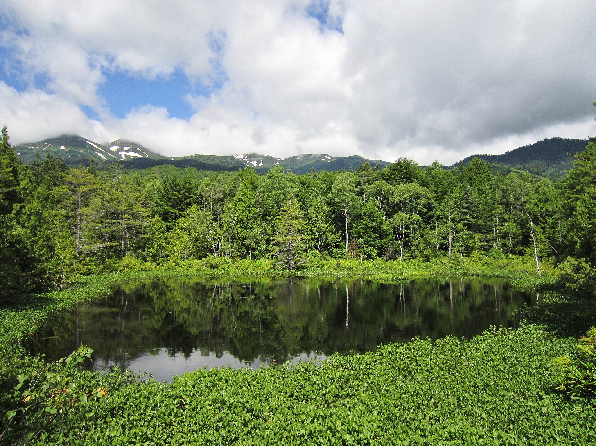 夏の牛留池と雲がかかる乗鞍岳、周囲の緑の森