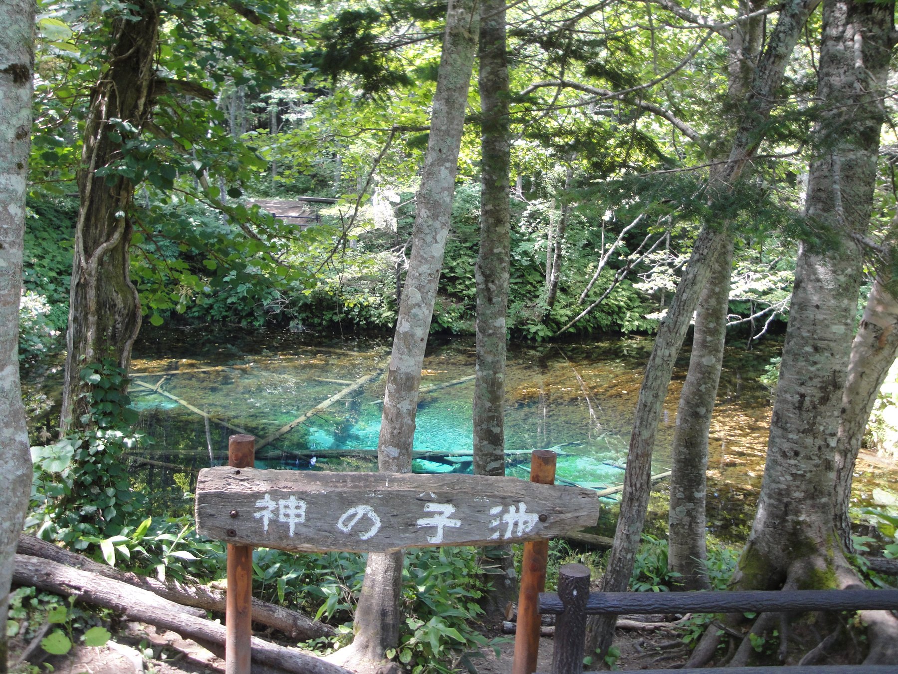 「神の子池」の木製看板越しに見る青い水面
