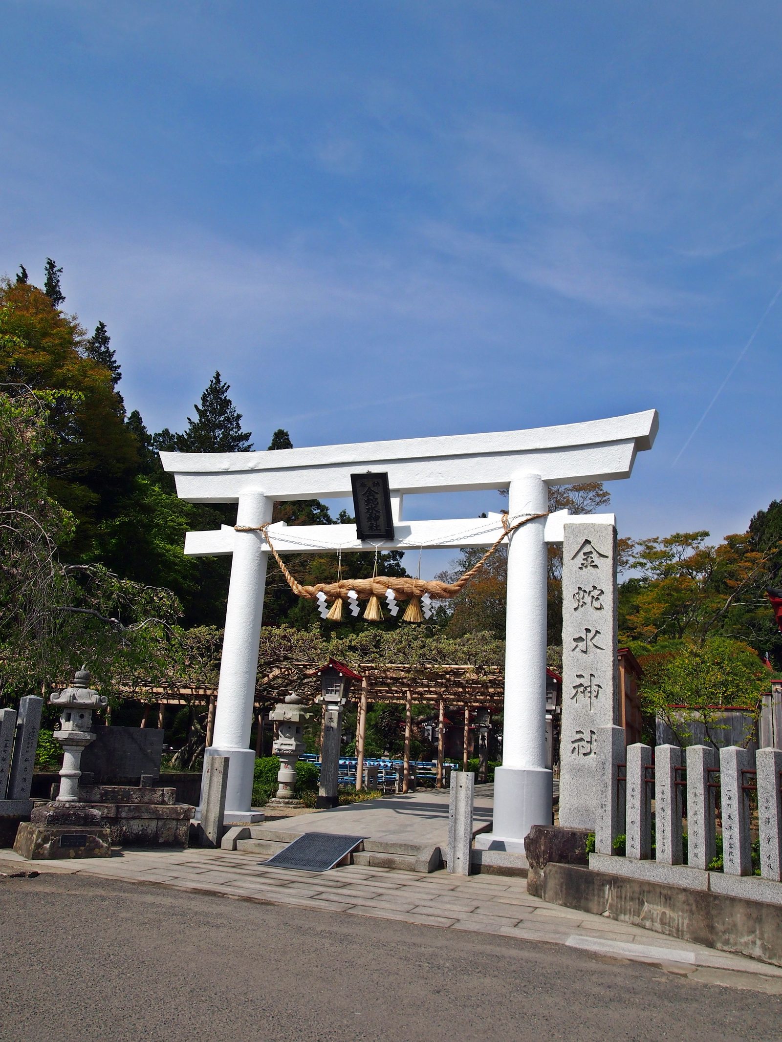 金蛇水神社の白い鳥居と社号標