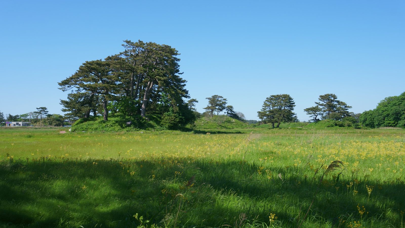 蚶満寺から望む九十九島の松の小山と水田