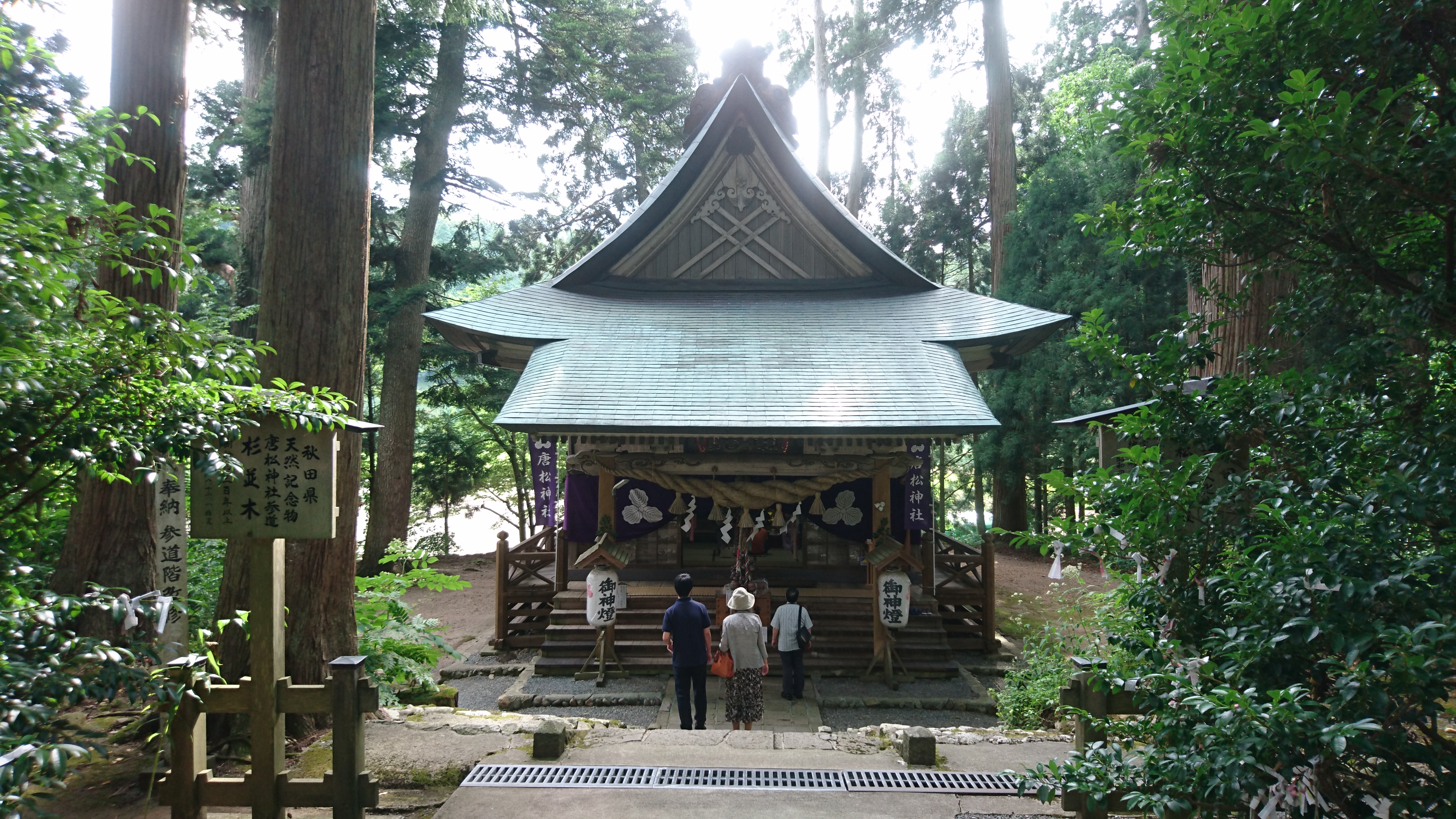 杉木立に囲まれた唐松神社の拝殿