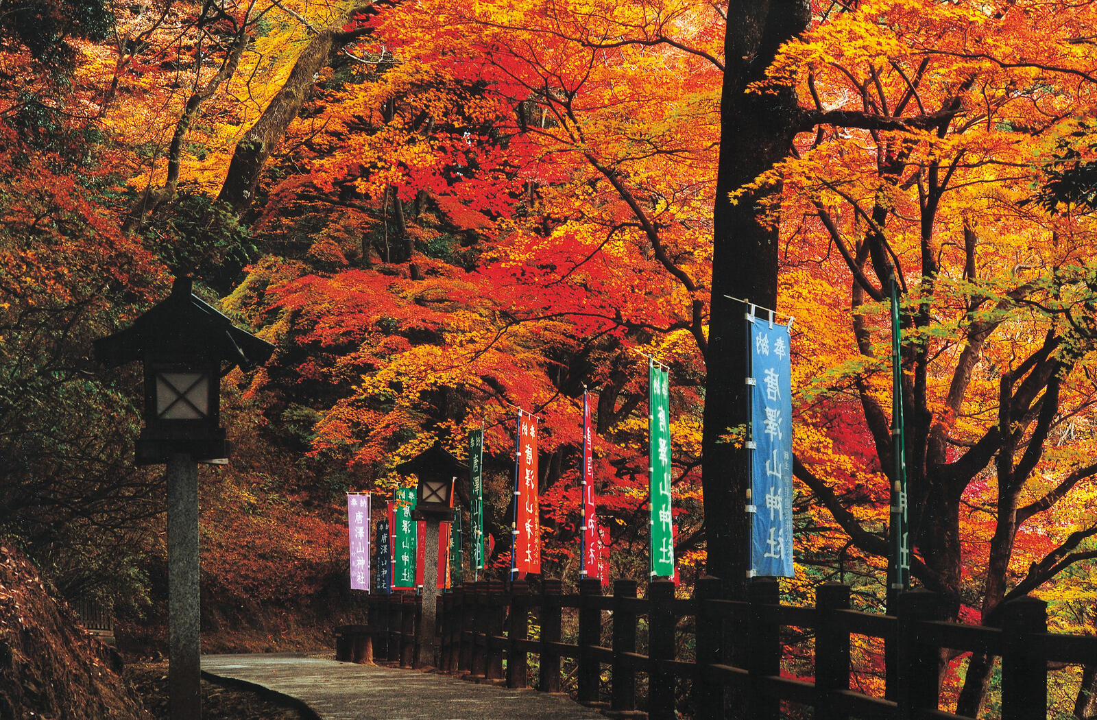 紅葉に包まれる唐澤山神社の境内