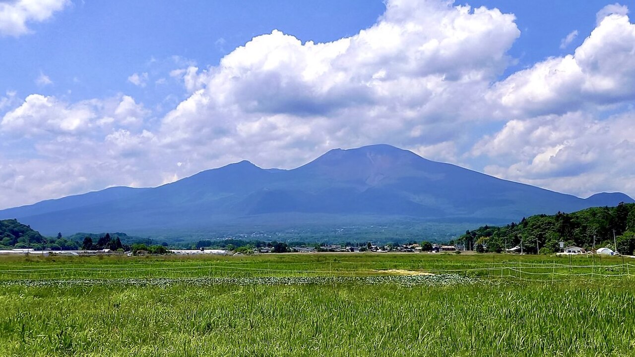 発地市庭で信州土産
