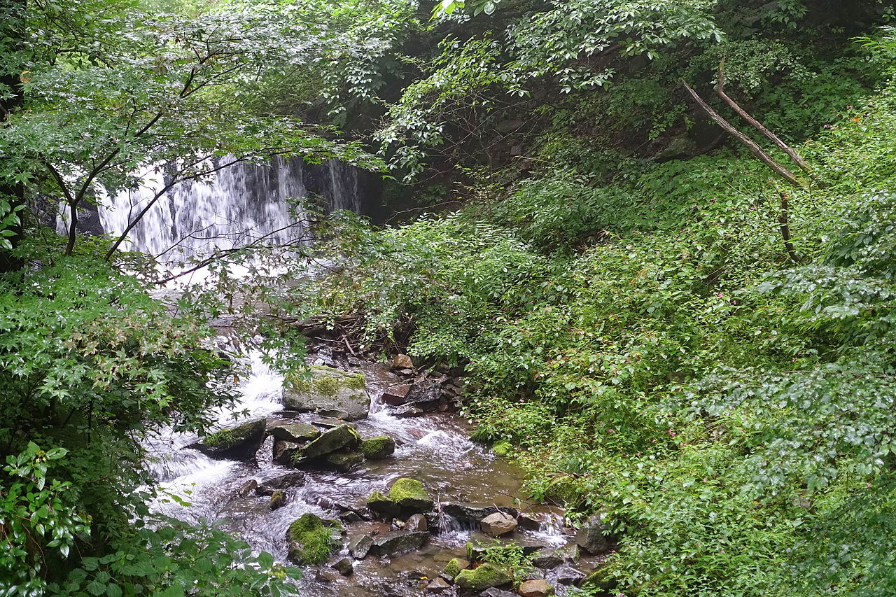 矢ヶ崎川の小さな落差を流れ落ちる水と、緑に覆われた岸辺