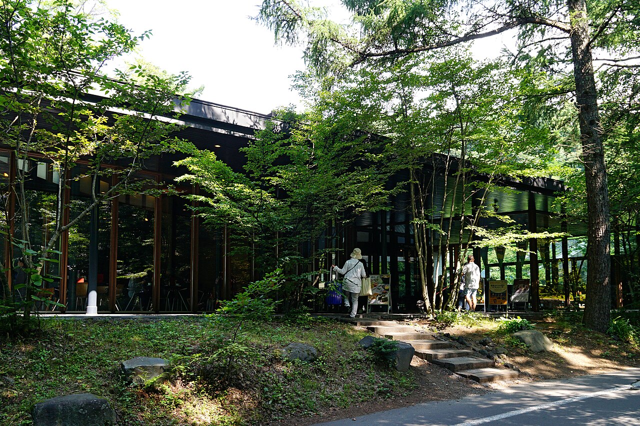 木立に包まれたトンボの湯の建物と石段