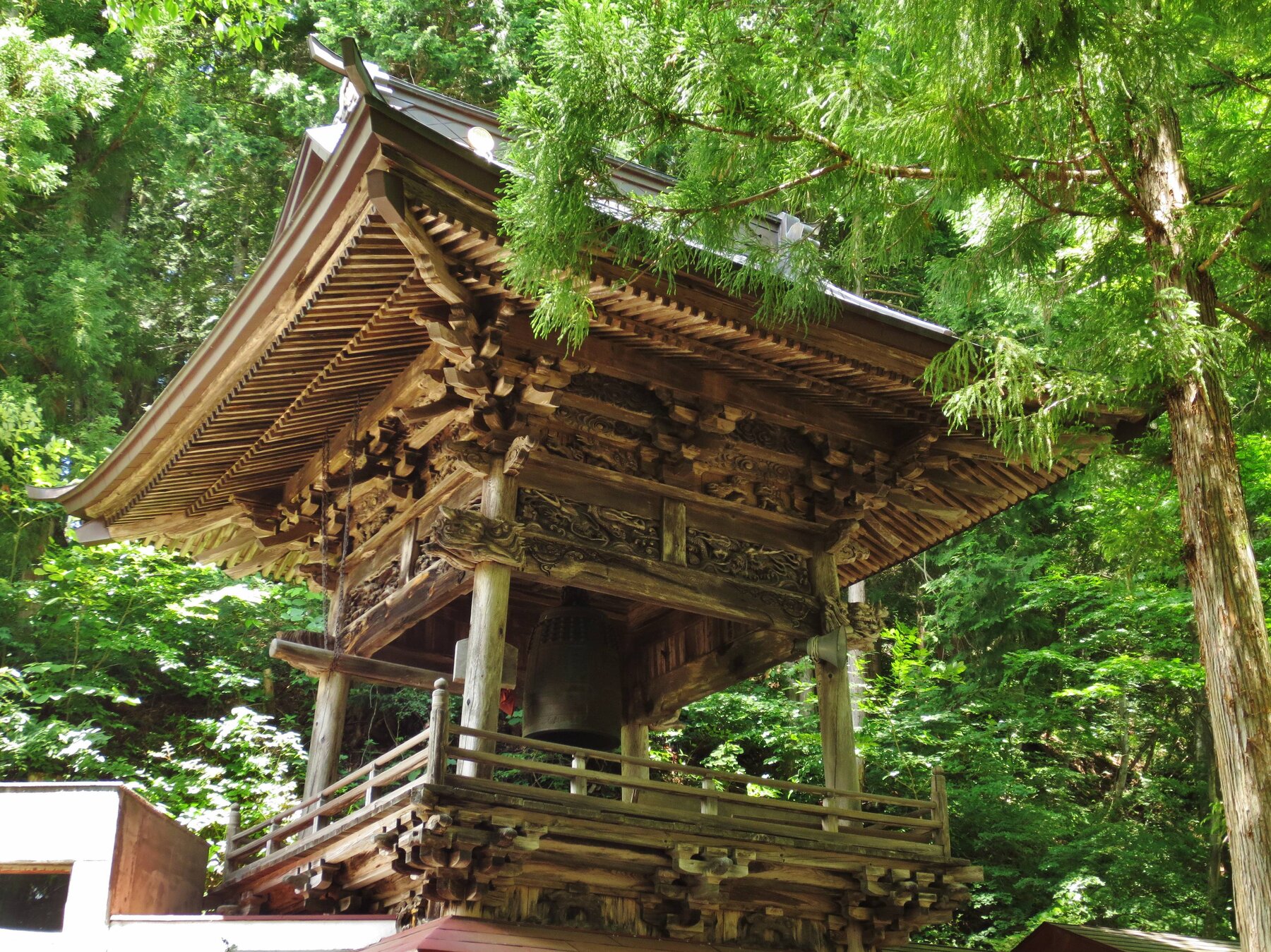 杉の巨木に囲まれた迦葉山弥勒寺の鐘楼