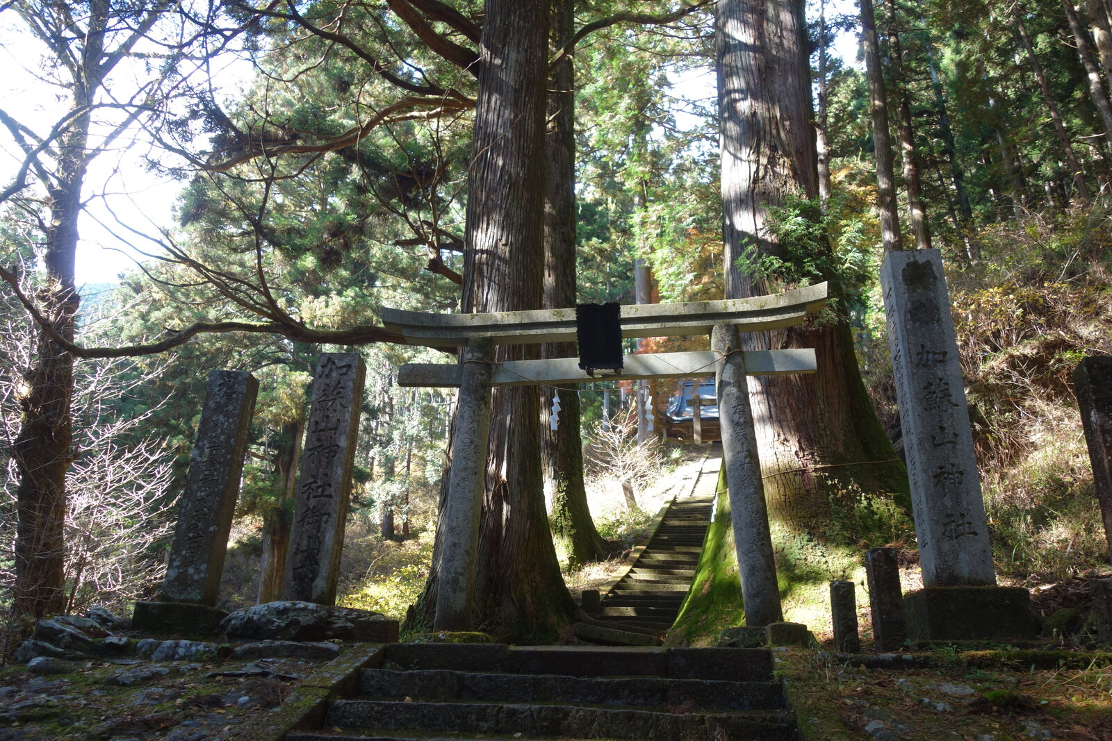 加蘇山神社(下の宮)の社殿